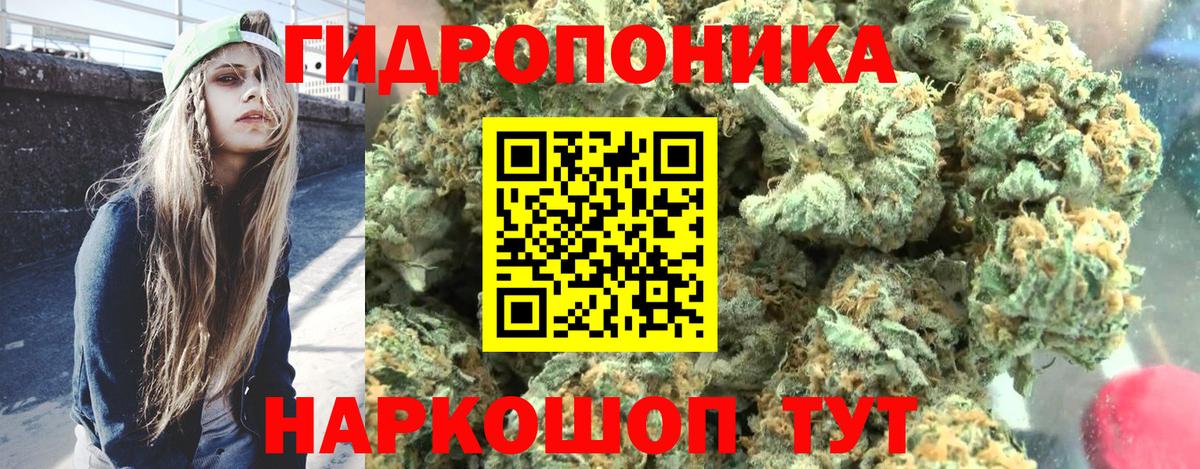 Конопля план  Конопля OG Kush  Вход с VPN  Реутов  Канабис Amnesia 